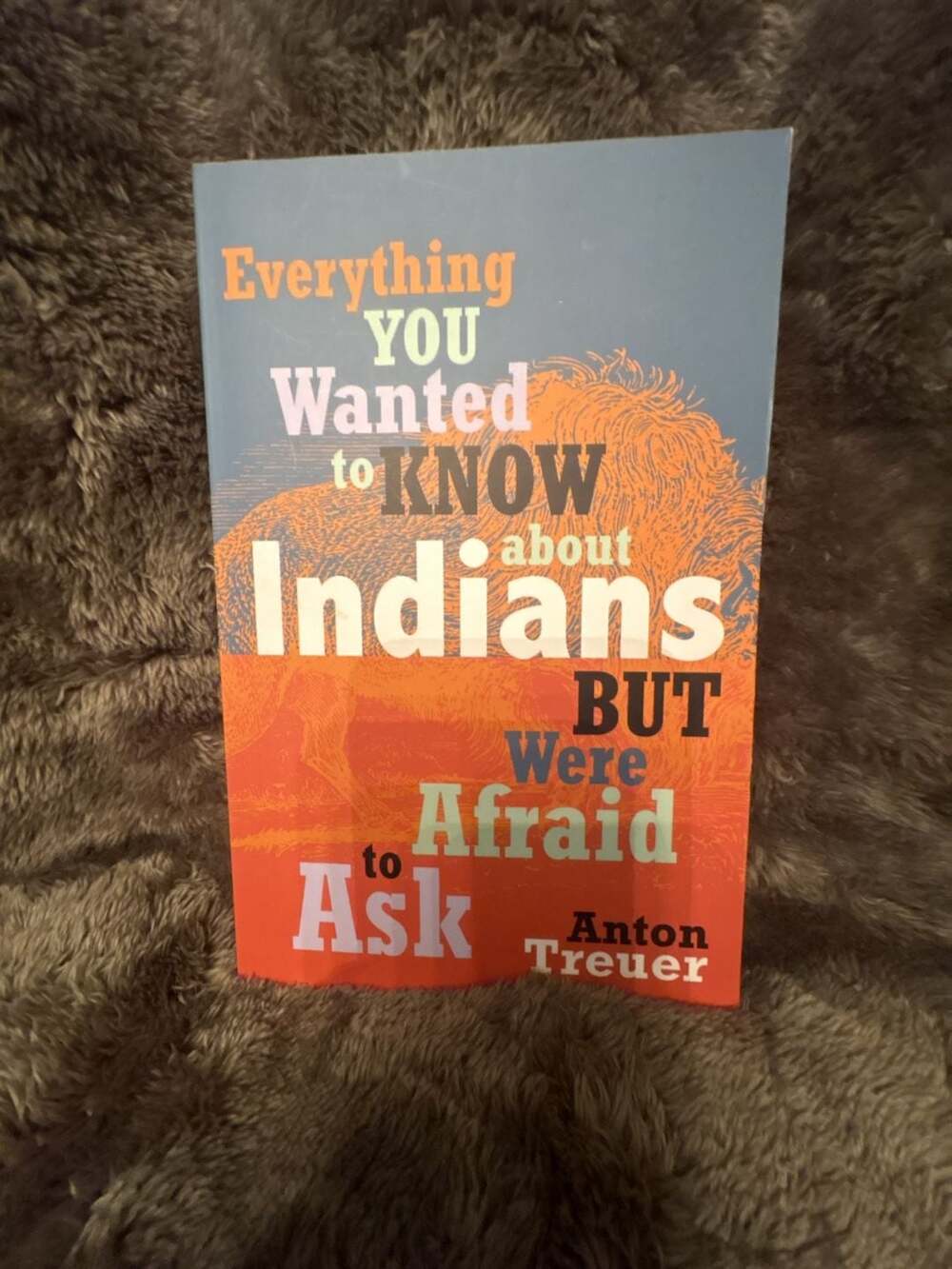 Borealis Books Everything You Wanted to Know About Indians But Were Afraid To